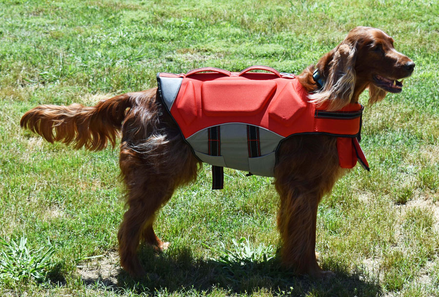 Tessa and her Life Jacket 2