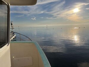 Mobile Bay in the morning